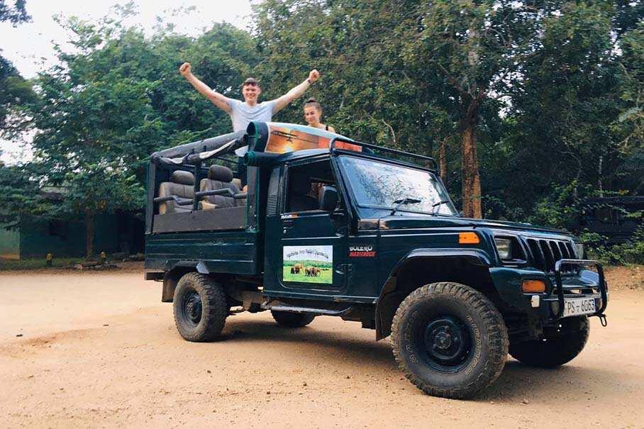 Wildlife Safari